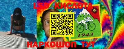 a pvp Ставрополь