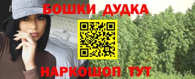 a pvp Ставрополь