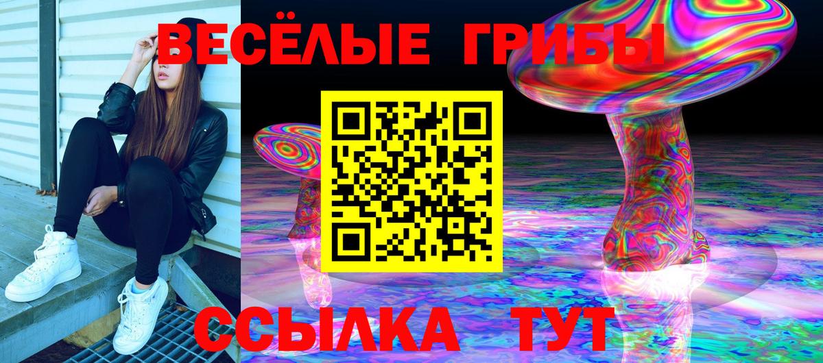 Галлюциногенные грибы Magic Shrooms  цена   Новоалександровск  Вход с VPN 